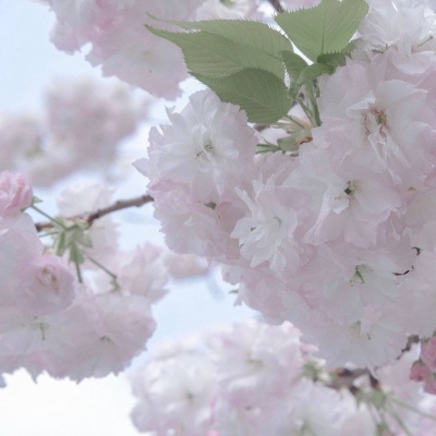 兽设配色搭配思路兽圈群